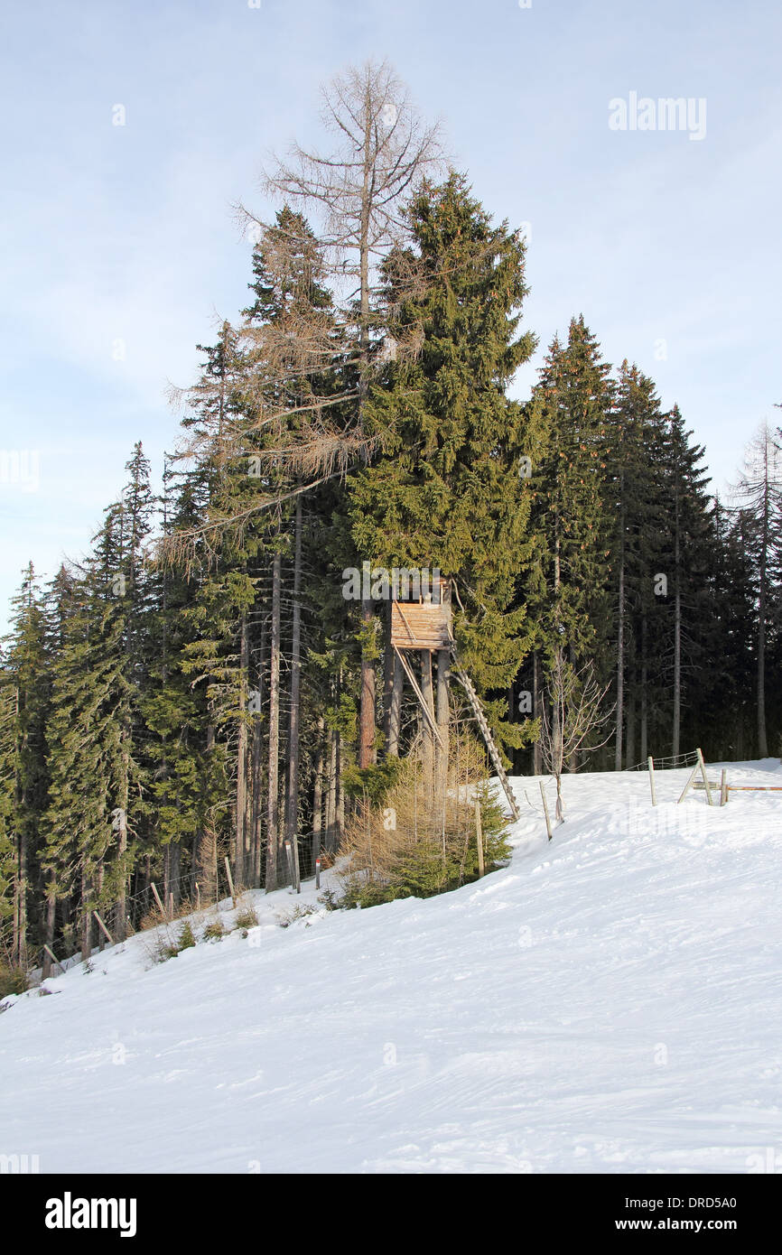 Wildlife observation point, hunting tower, on the fir tree, winter and snow Stock Photo