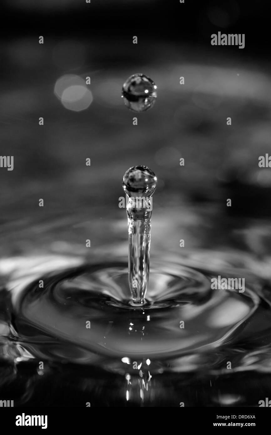 Water drops bouncing from a pool Stock Photo