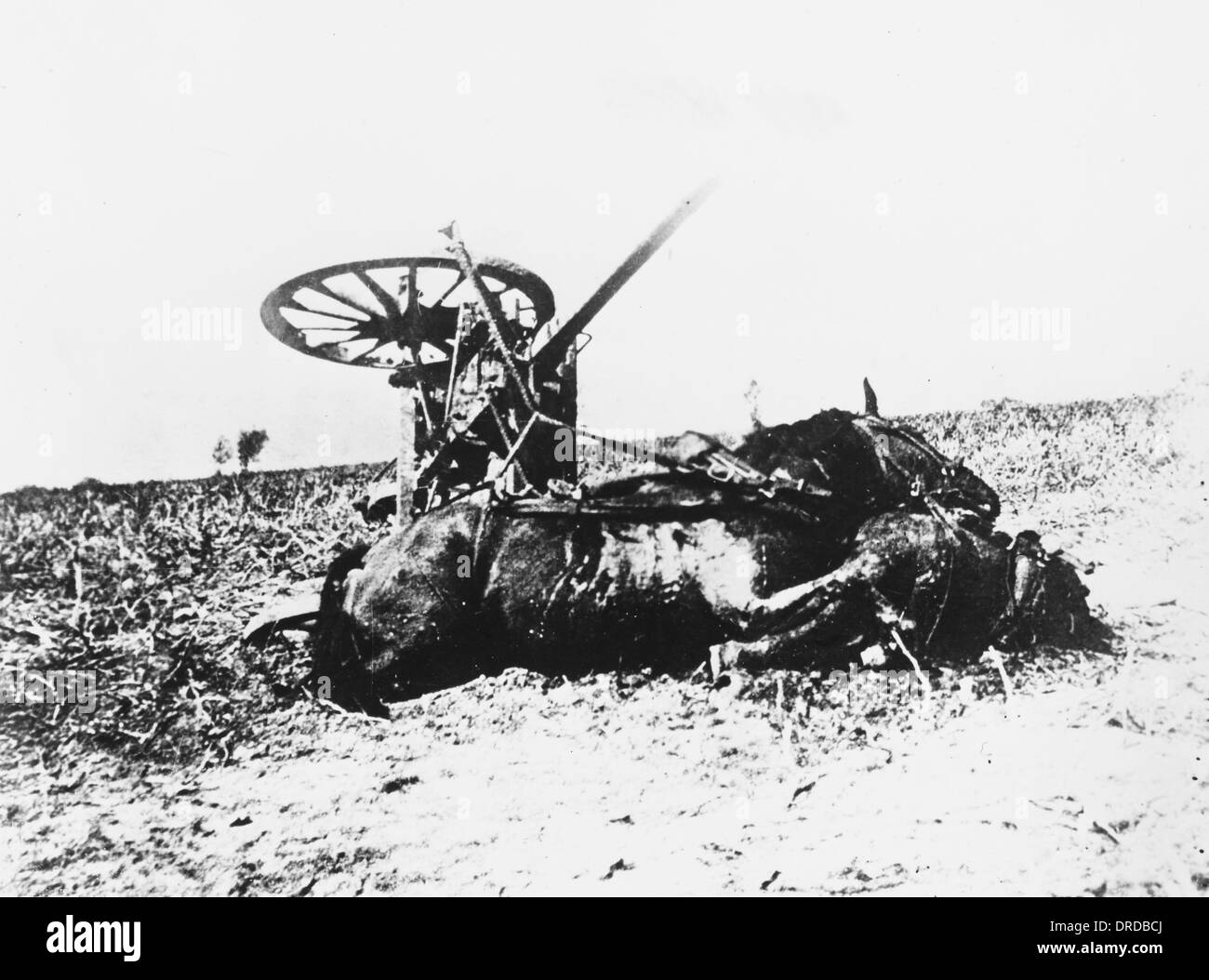 Destroyed German cart WWI Stock Photo
