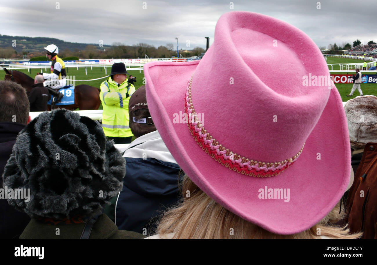A lady in a pink hat watches the races Stock Photo