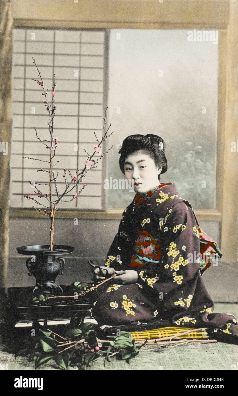 Japanese Geisha girl arranging flowers Stock Photo