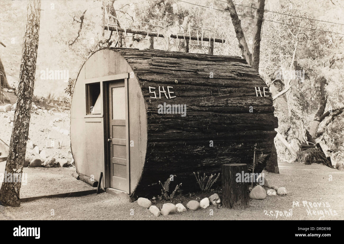 Lavatory made out of the trunk of a Redwood Stock Photo Alamy