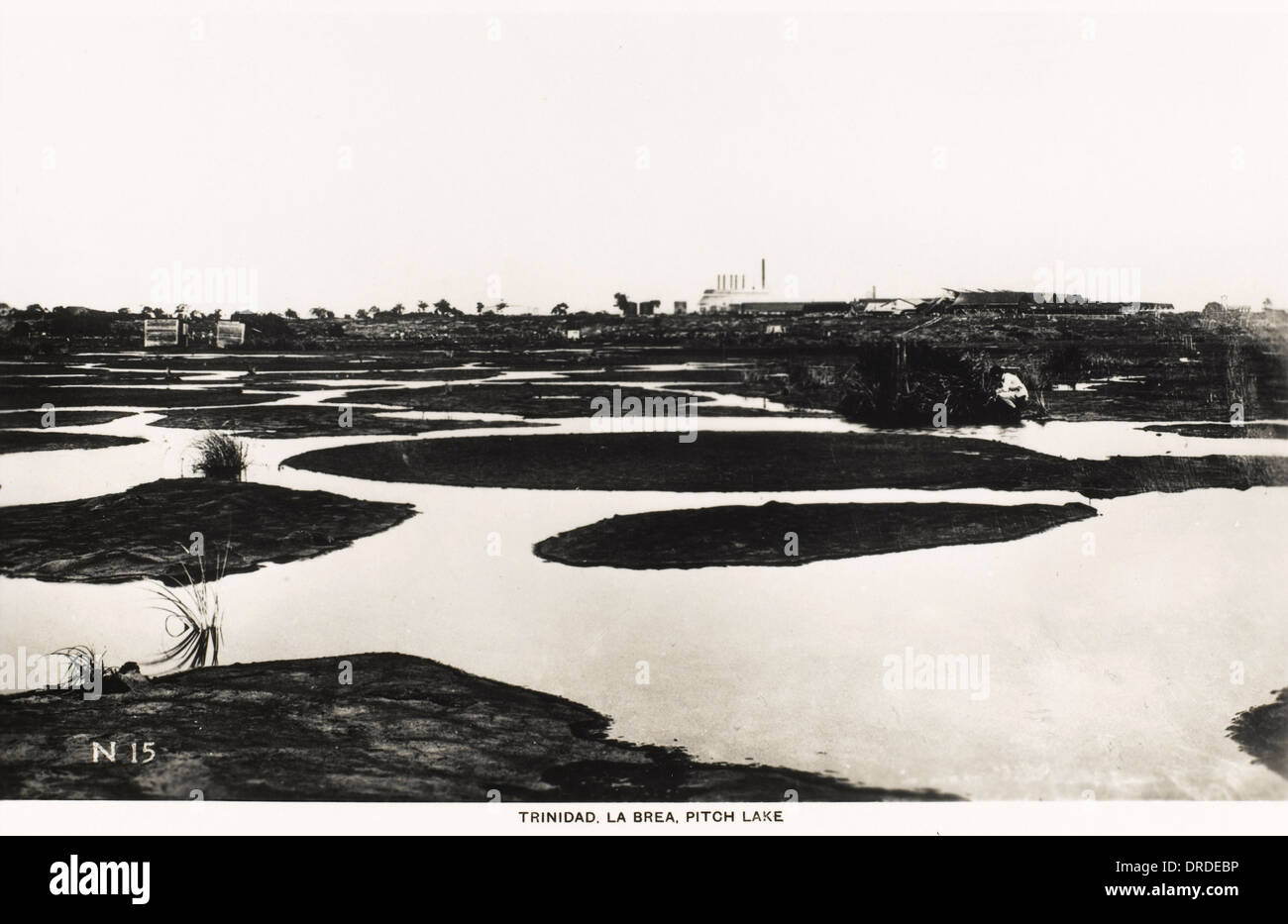 Pitch Lake - La Brea, Trinidad Stock Photo