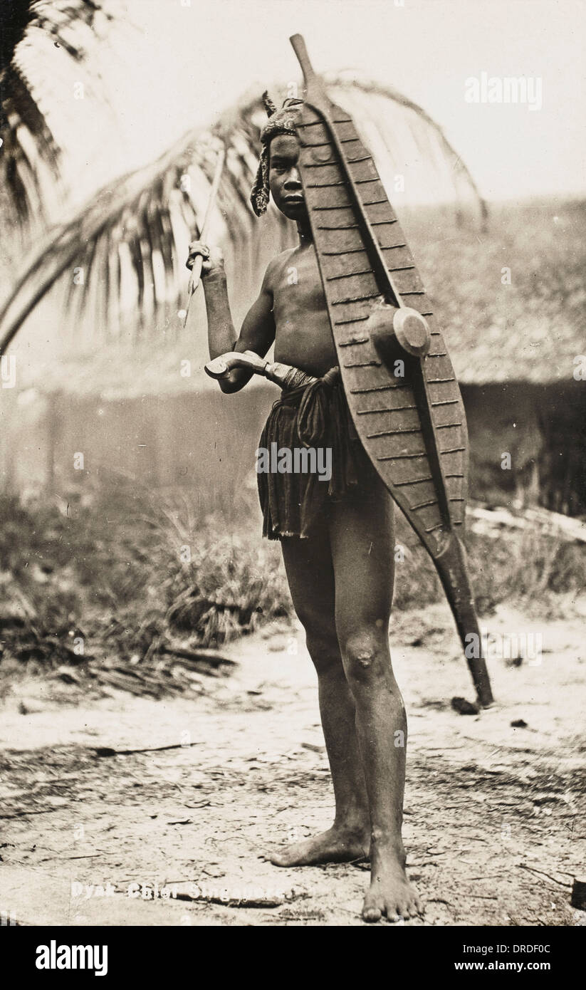 Shield warrior hi-res stock photography and images - Alamy