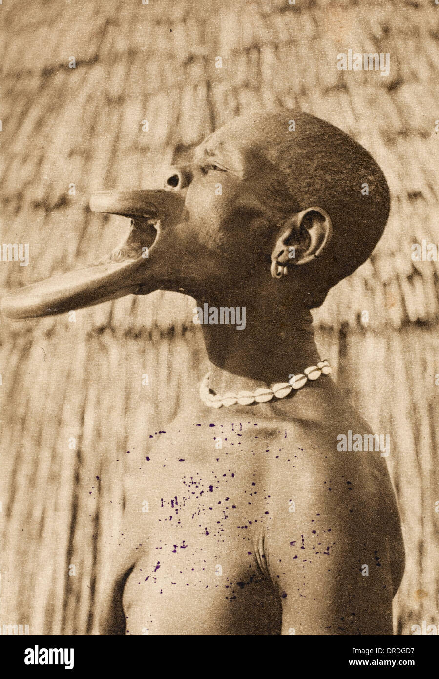 African Woman with huge lip plates Stock Photo 66066483 Alamy