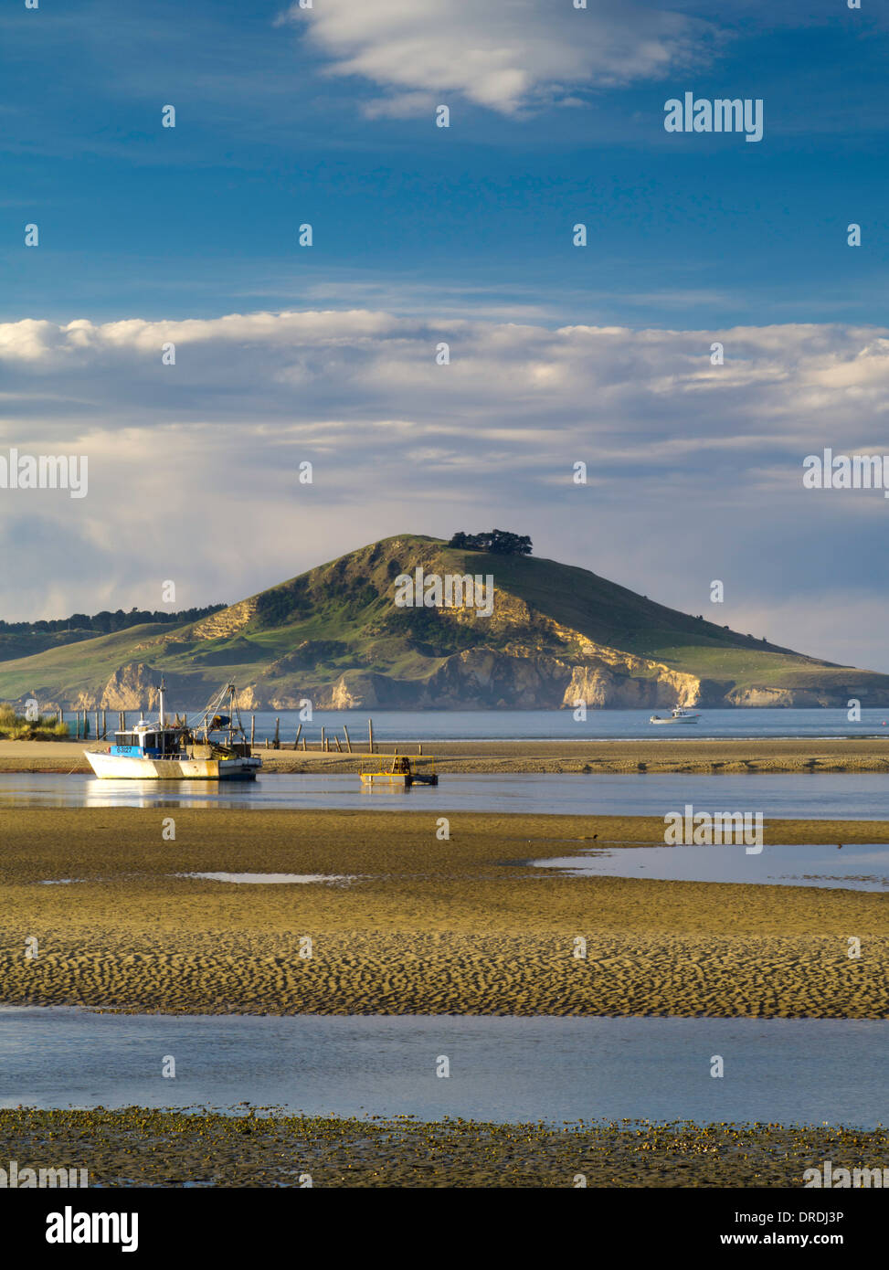 Harbor side view of Waikouaiti Harbor and the Cornish Head at Karitane