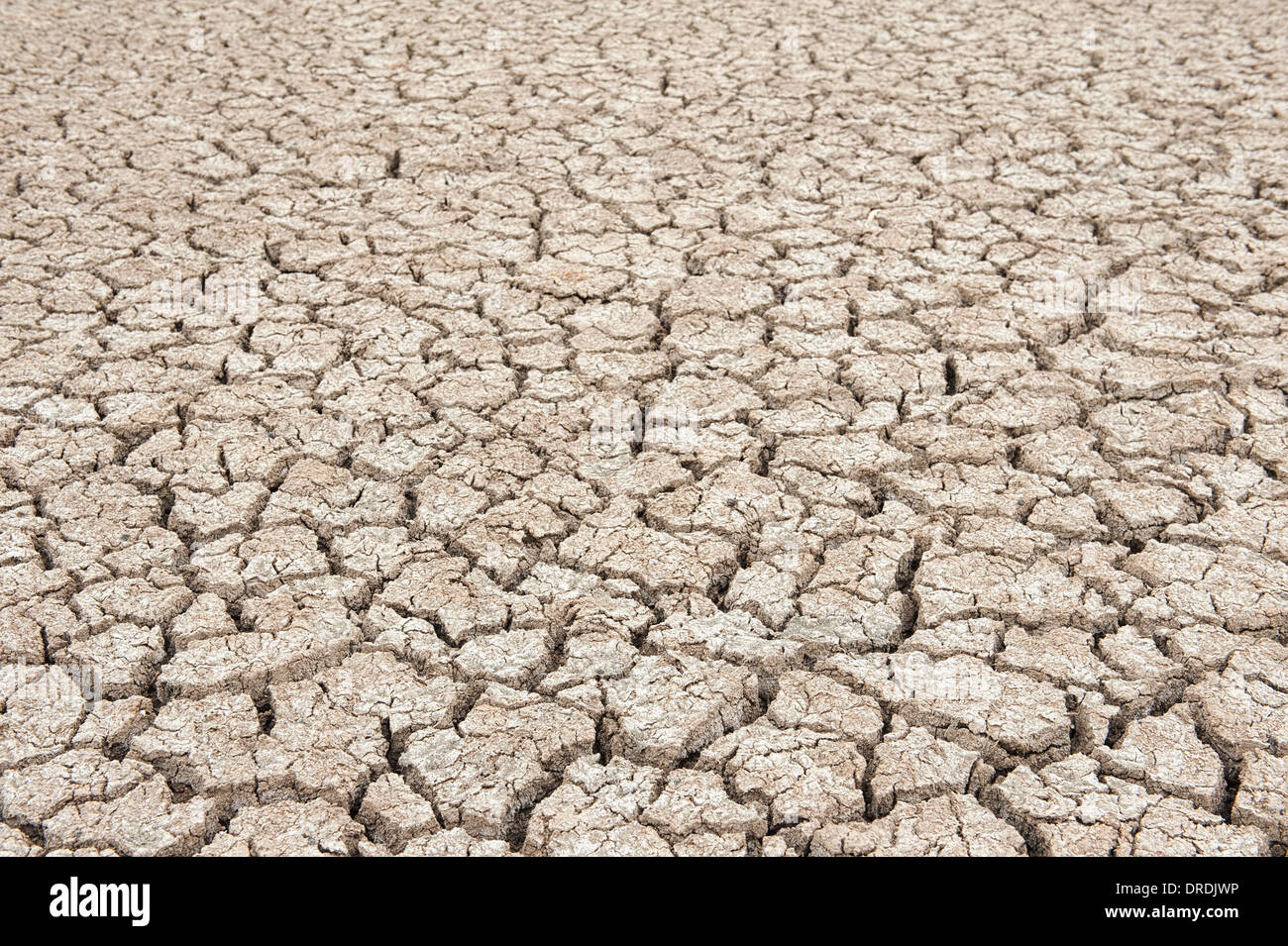 Dry soil texture of a barren land Stock Photo