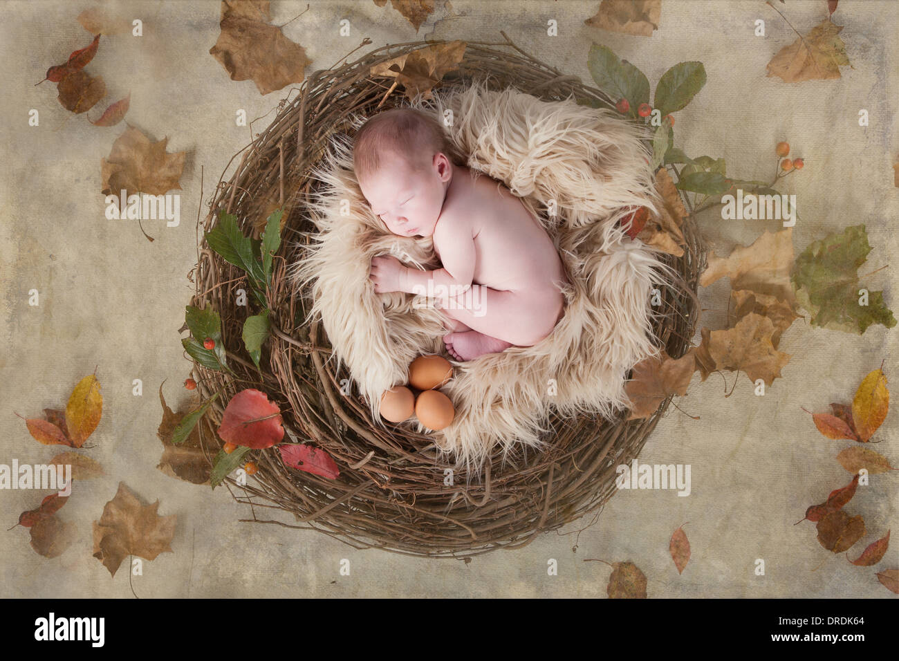 Three bird eggs in the nest Stock Photo by ©borjomi88 170275320
