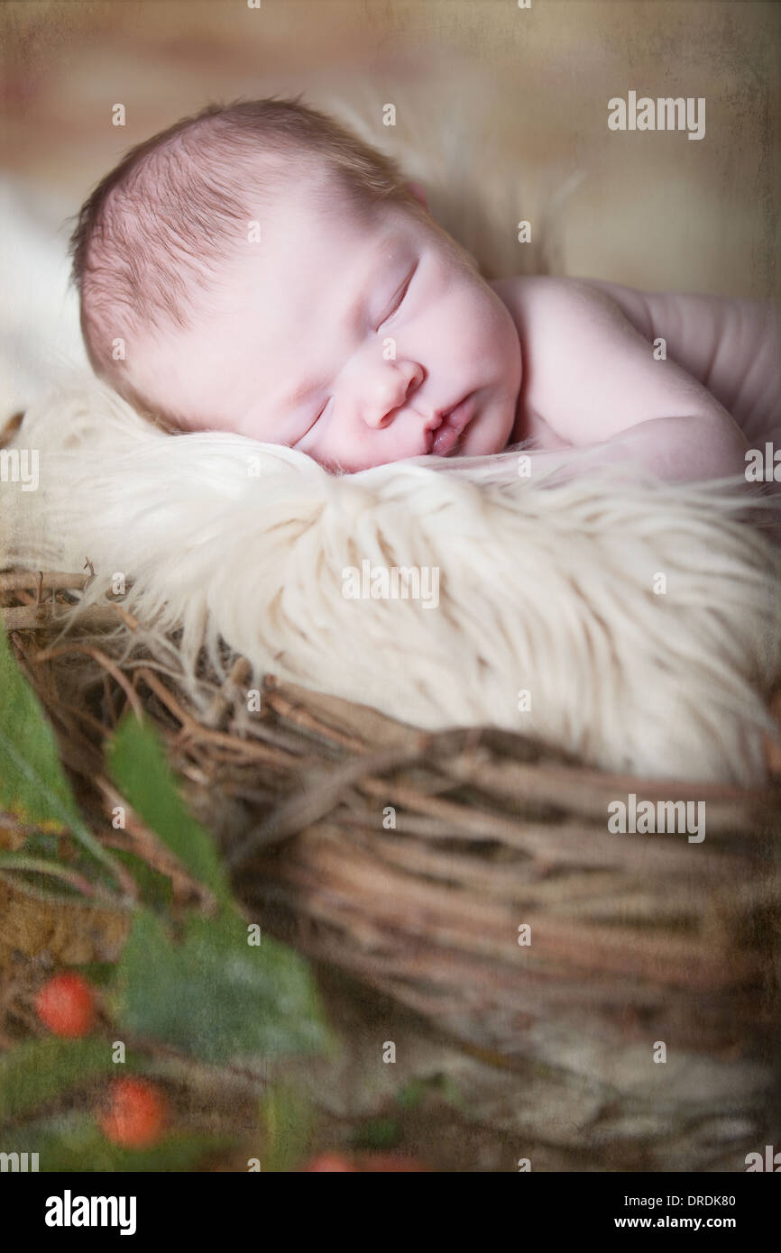 Newborn Baby soundly sleeping in a nest Stock Photo