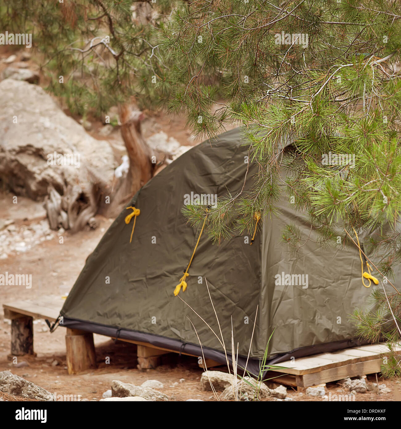 Green tent on mountain top Stock Photo - Alamy
