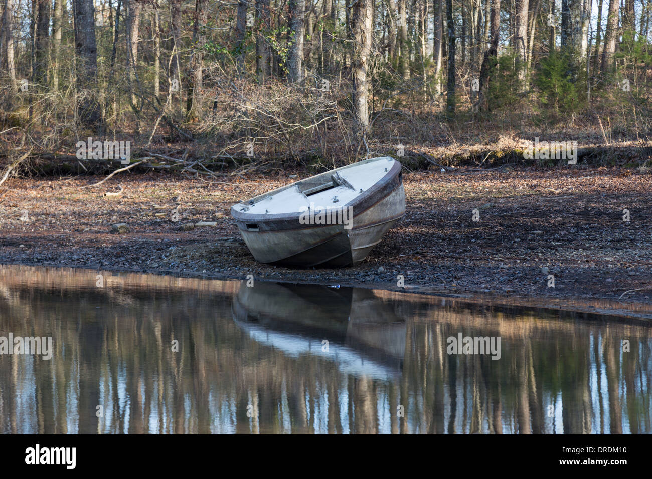 Abandoned boat, beached next to the woods with a reflection in the water Stock Photo