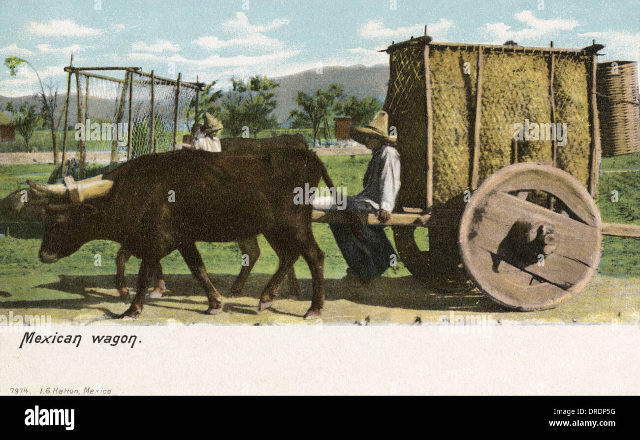 Mexican Wagon With Solid Wheels Stock Photo Alamy