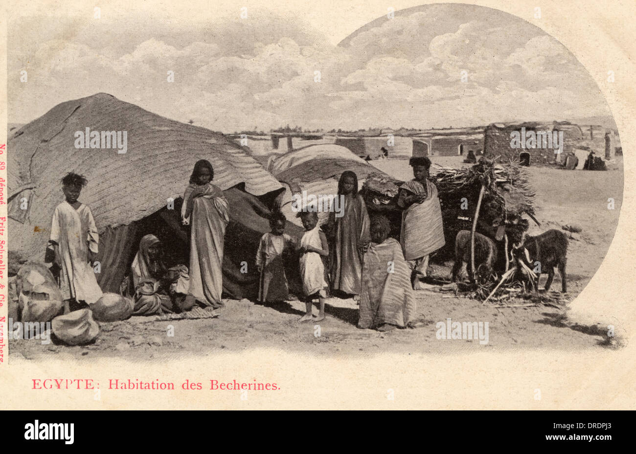 egypt-bicharin-encampment-DRDPJ3.jpg