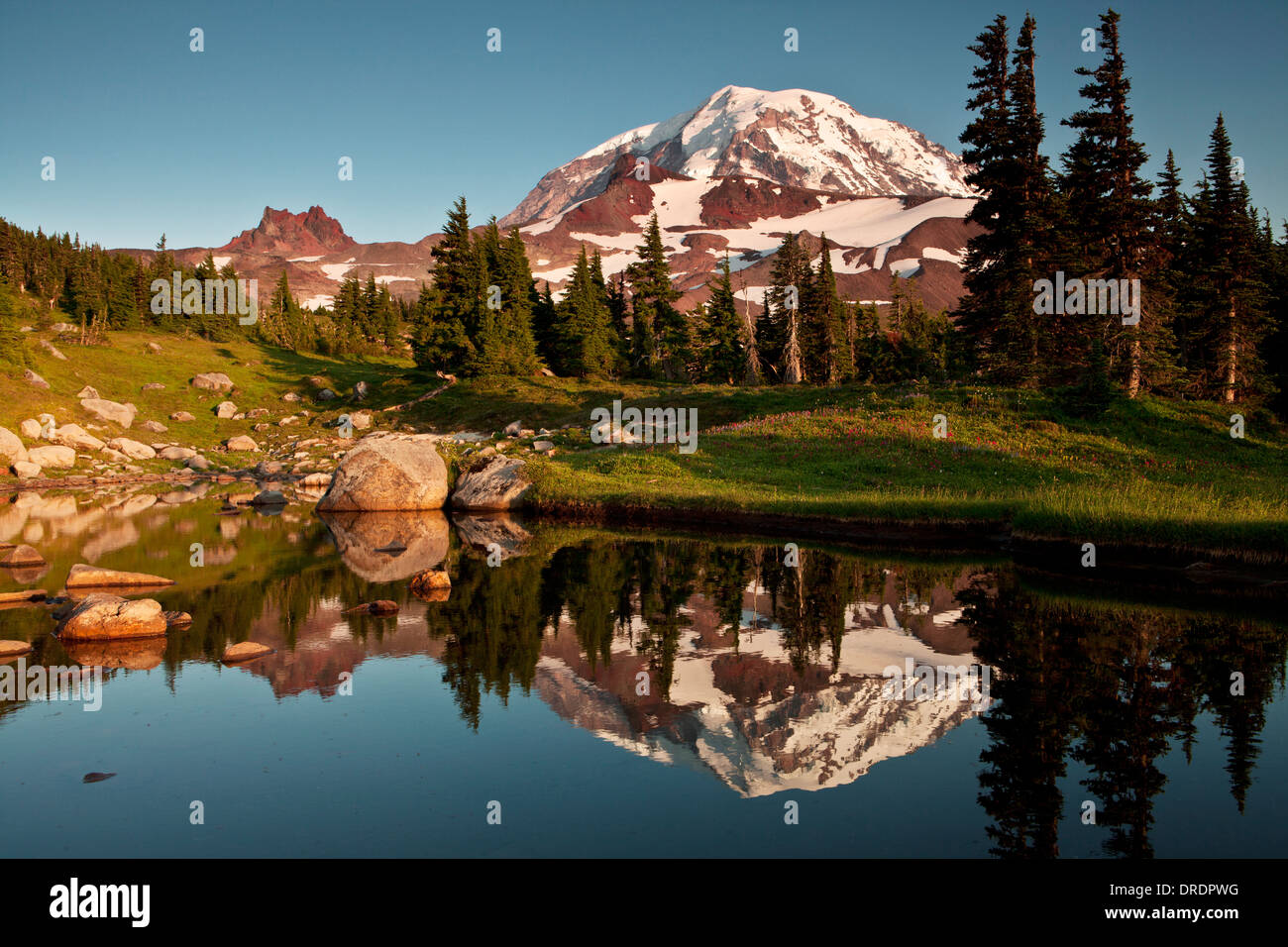 Mount Rainier reflected in a tarn in Spray Park, Mount Rainier National