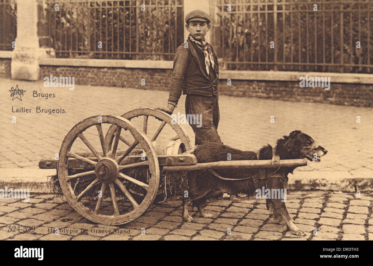 Young boy with his dog cart - Bruges, Belgium Stock Photo