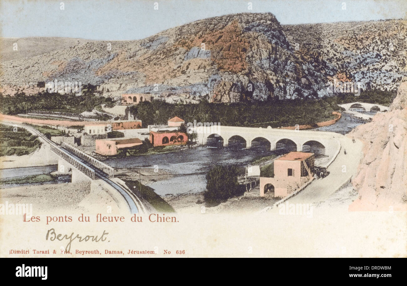 Dog river lebanon hires stock photography and images Alamy