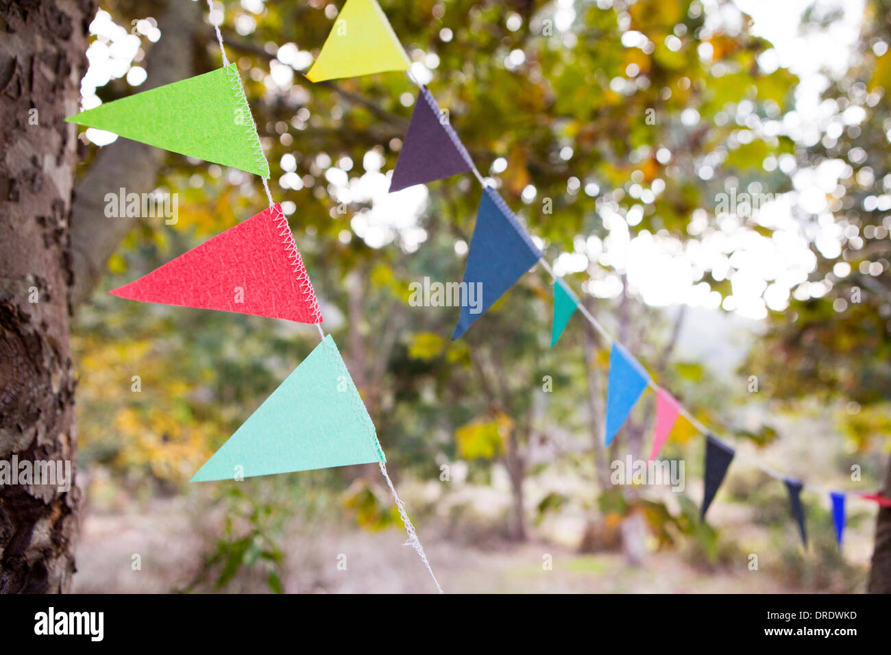 Colorful flags hanging from trees Stock Photo Alamy