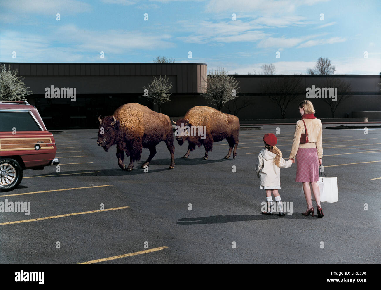 Mother and daughter being passed by bison outside shopping mall Stock Photo