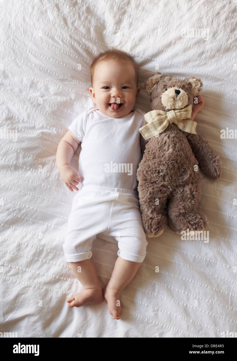 Baby laying on blanket with teddy bear Stock Photo Alamy