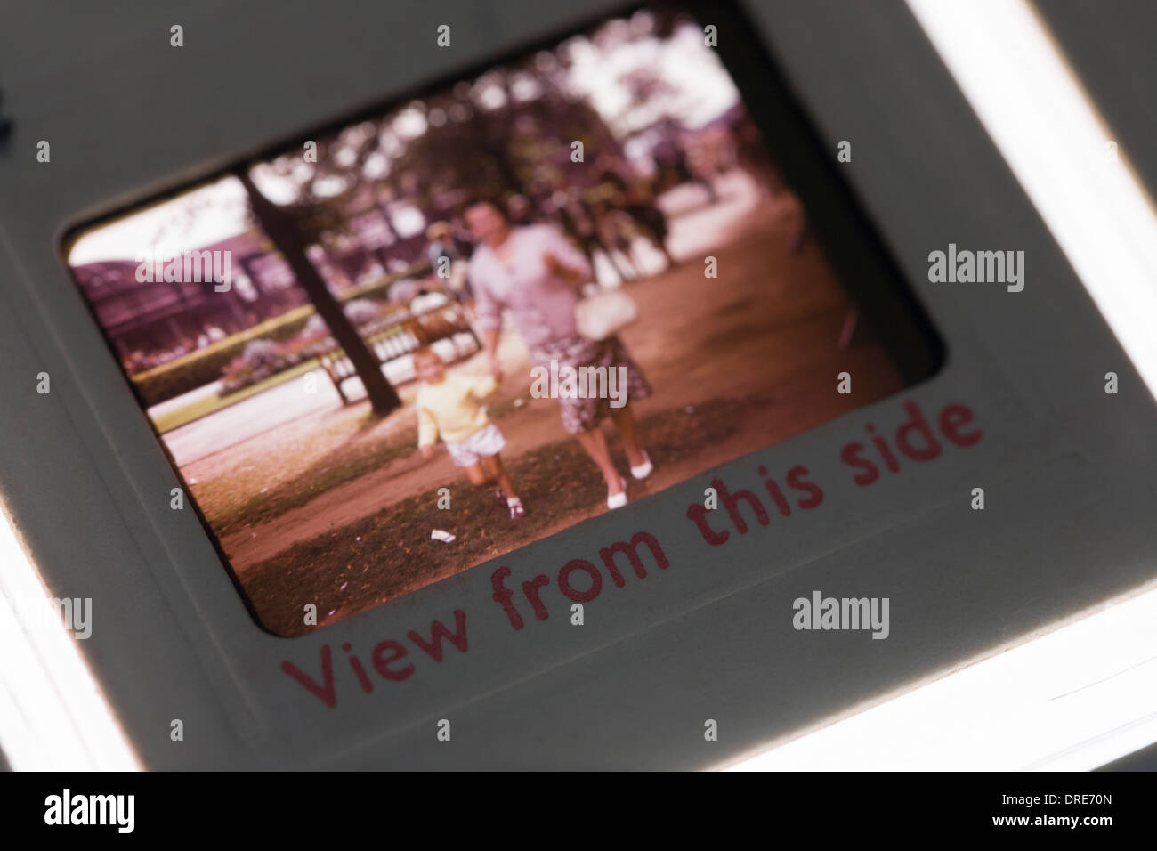 A detail of an old family photo taken on 35mm transparency slide dated from the 1960s. Stock Photo