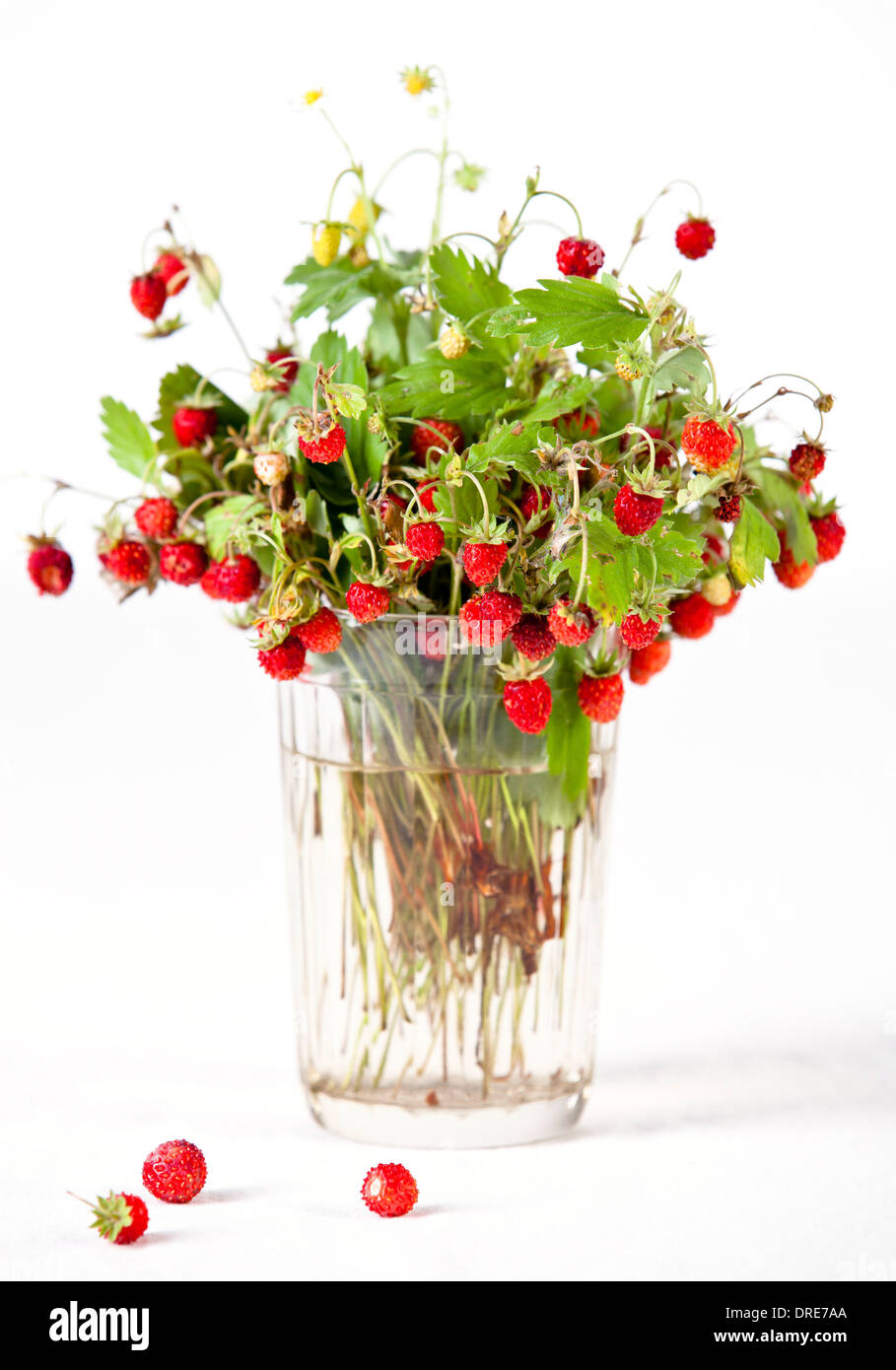Bouquet of wild strawberries on white background Stock Photo