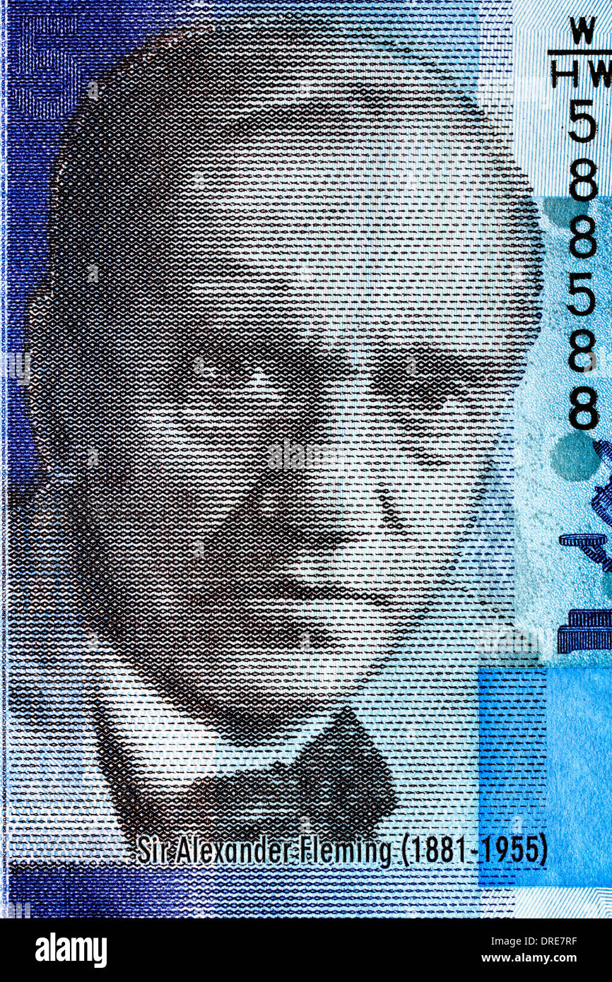 Portrait of Sir Alexander Flemming, from 5 Pounds banknote, Scotland, 2009 Stock Photo