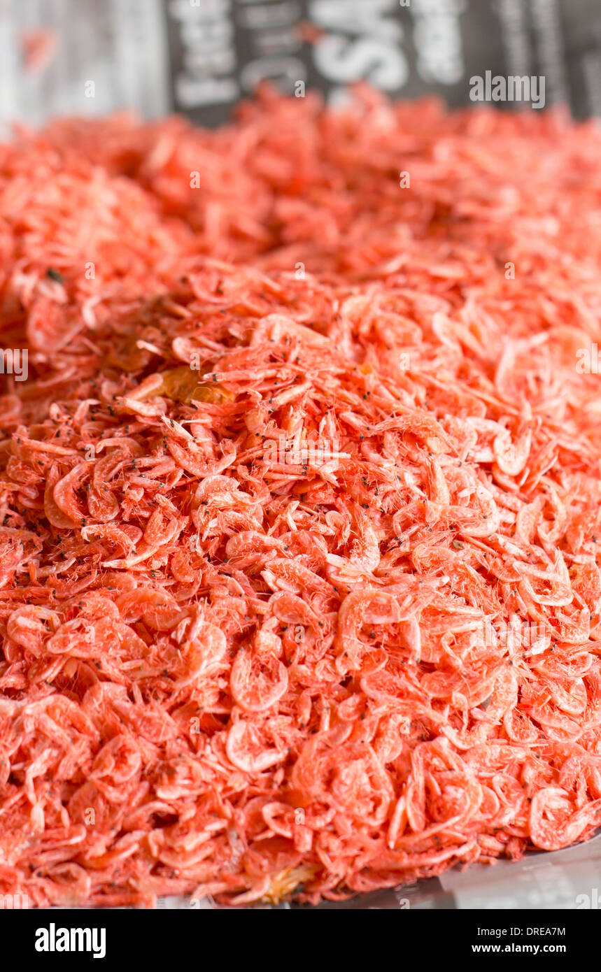 Pile of dried shrimp for Thai cooking recipe. Stock Photo