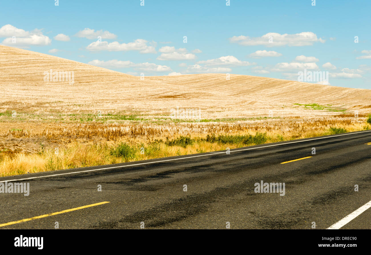 Country road in the Palouse Hills of Whitman County, Washington State