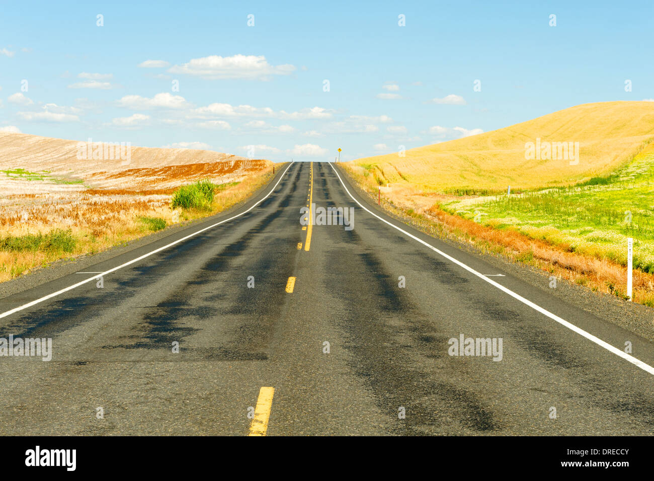 Country road in the Palouse Hills of Whitman County, Washington State