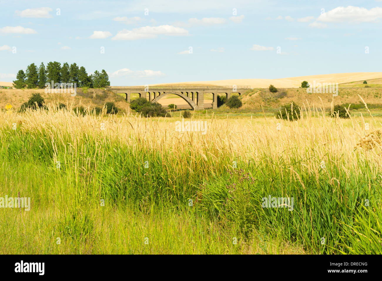 Eastern span of Rosalia Railroad Bridge (1915), near Rosalia