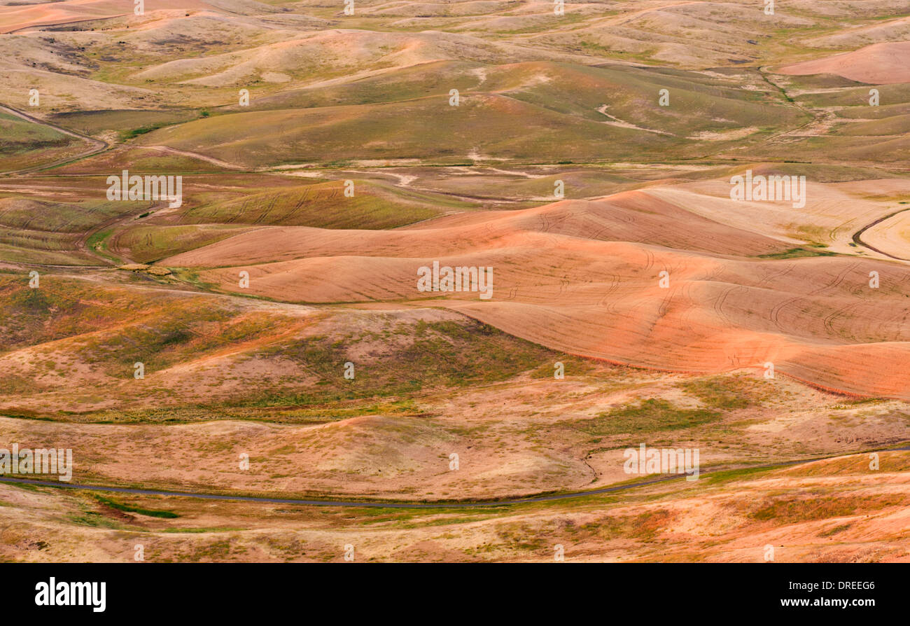 View of the Palouse Hills of Whitman County, Washington State, USA, seen from the top of Steptoe Butte State Park. Stock Photo