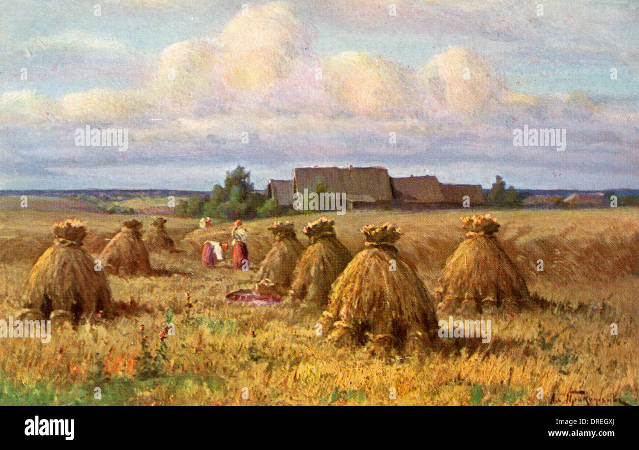 Sultry day during the harvest, Russia Stock Photo