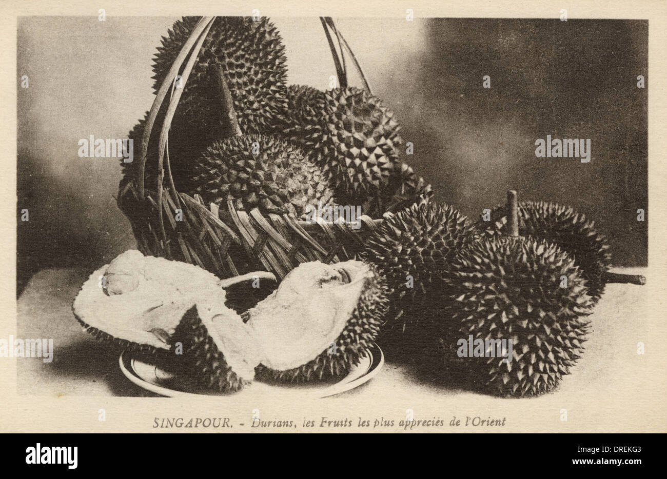 Durian fruit from Singapore Stock Photo