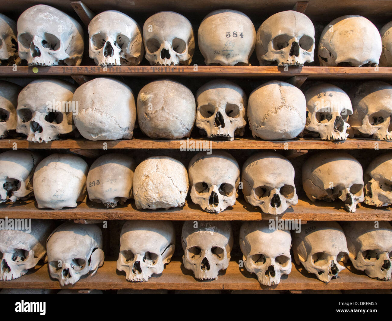 Shelves full of skulls in an ossuary remind us of death Stock Photo