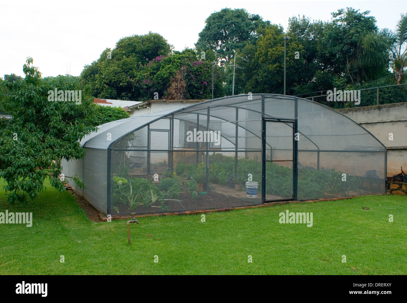 Enclosed home vegetable garden. Stock Photo