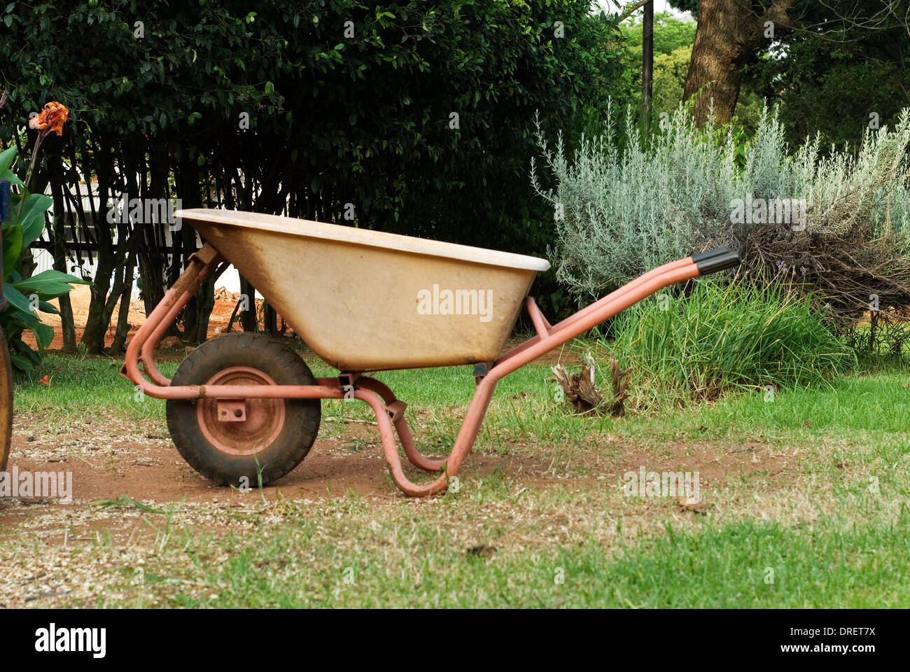Yellow Garden Wheelbarrow Stock Photo Alamy