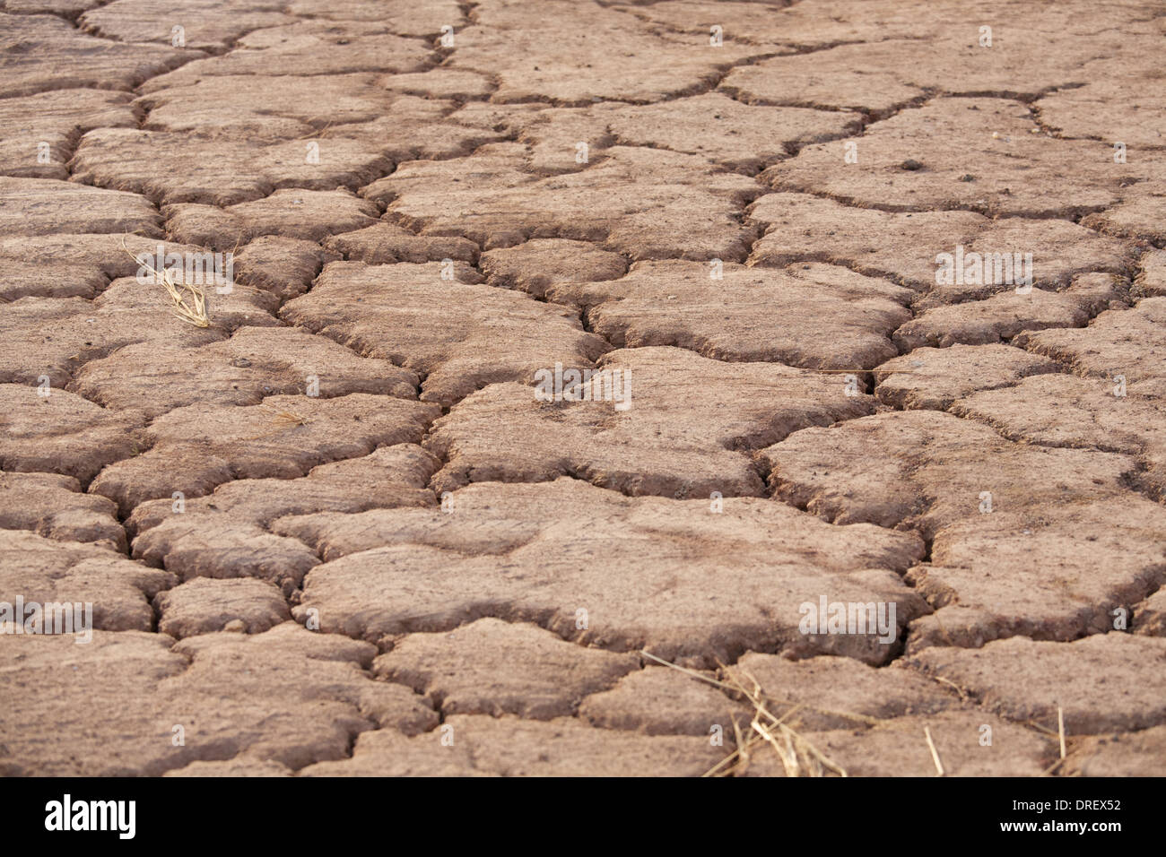 parched earth Stock Photo