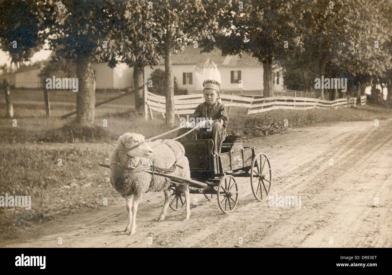 A boy in a custom made cart, drawn by a pet sheep Stock Photo