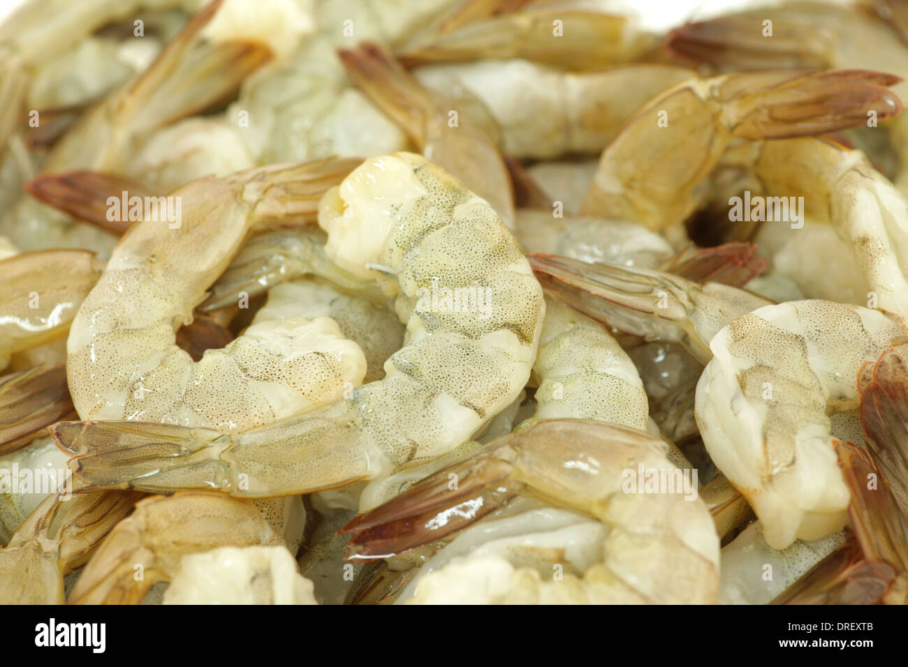 Pile of Shrimp Stock Photo