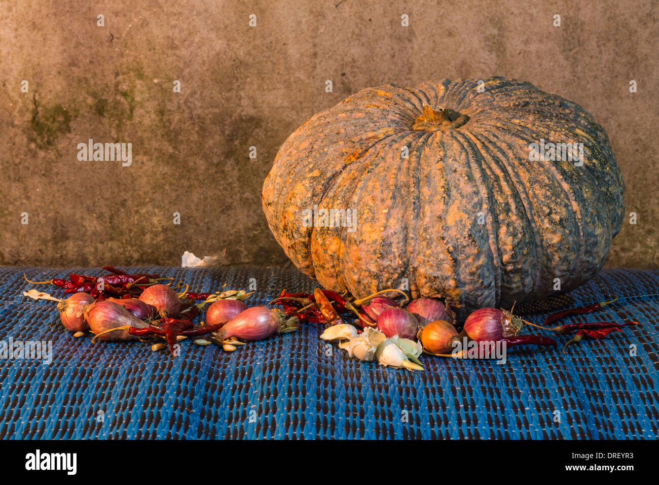 Still Life - pumpkin, dried chilli, shallots, and garlic Stock Photo