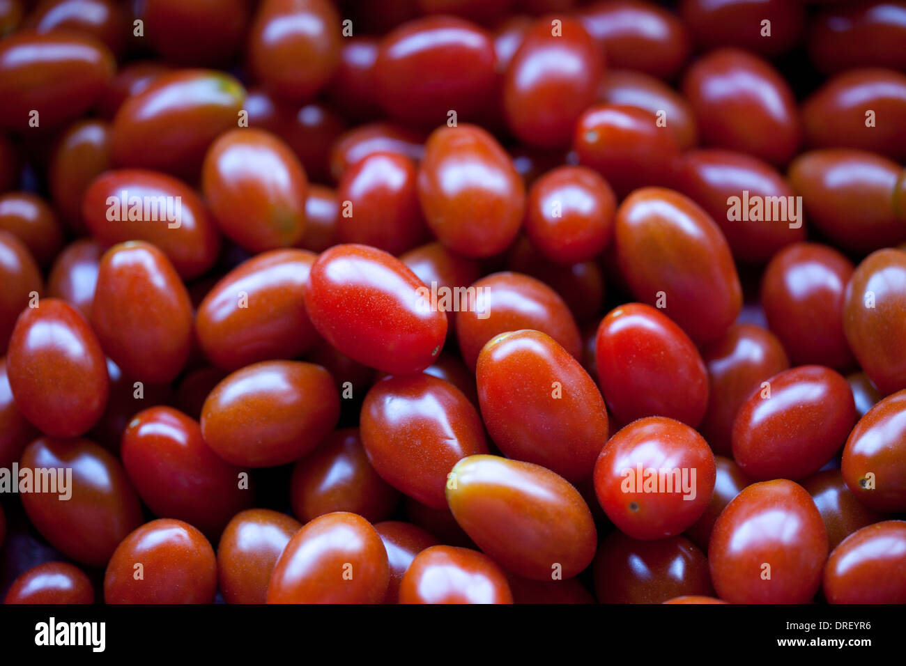 Still life of baby plum tomatoes Stock Photo - Alamy