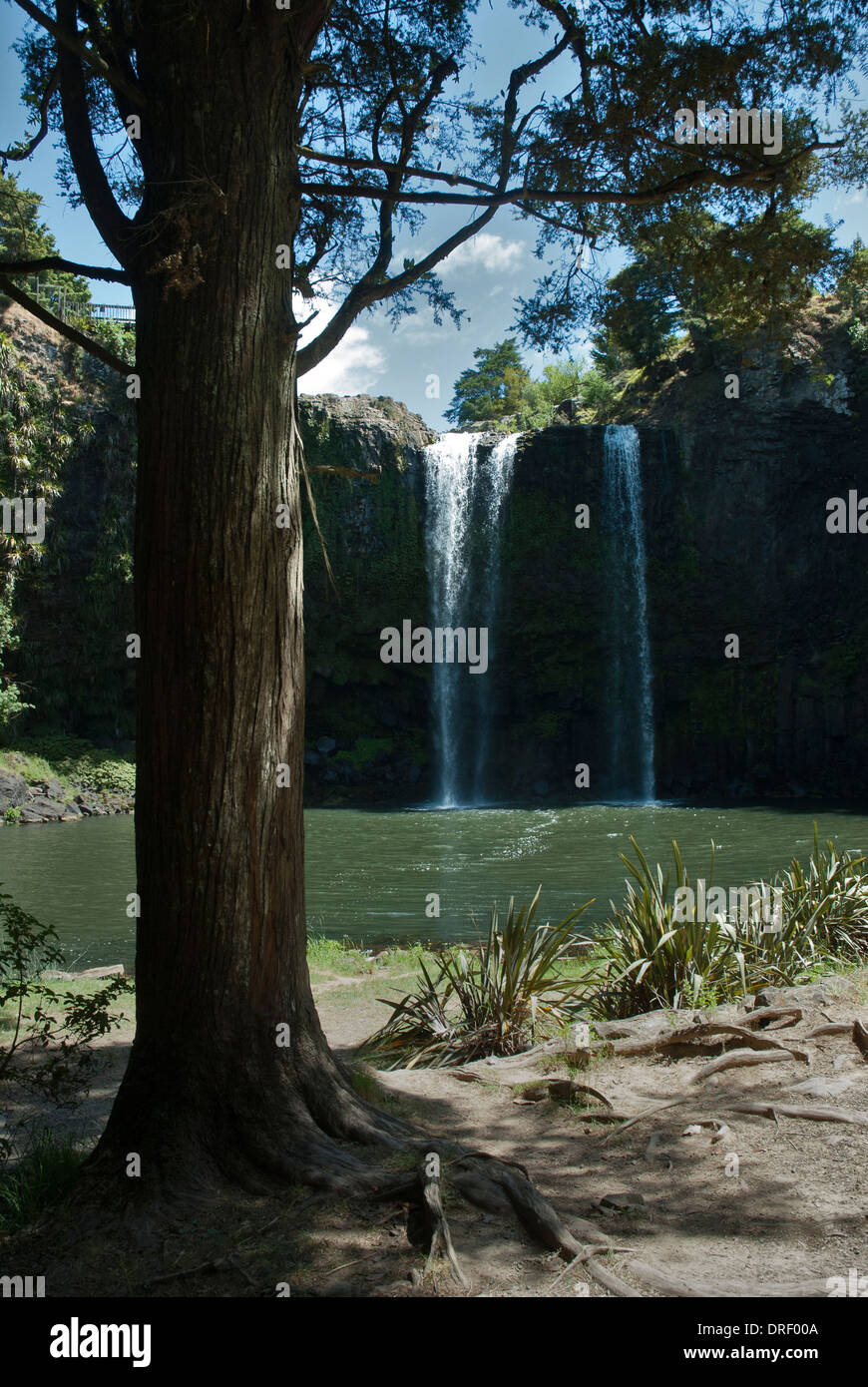 Waterfall, Whangerai, North Island, New Zealand, water, tree, blue, blue sky, blue skies, Stock Photo