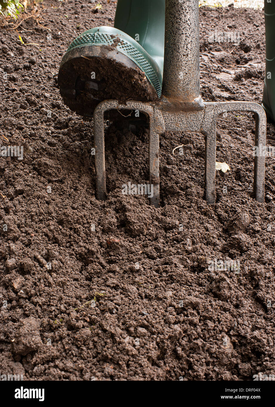 Gardener digging the earth over with a garden fork to cultivate the