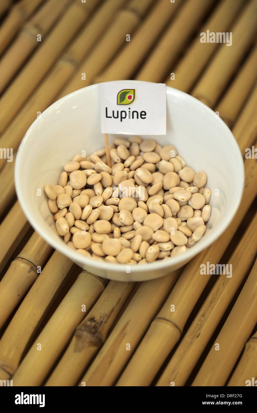 Lupin beans hires stock photography and images Alamy