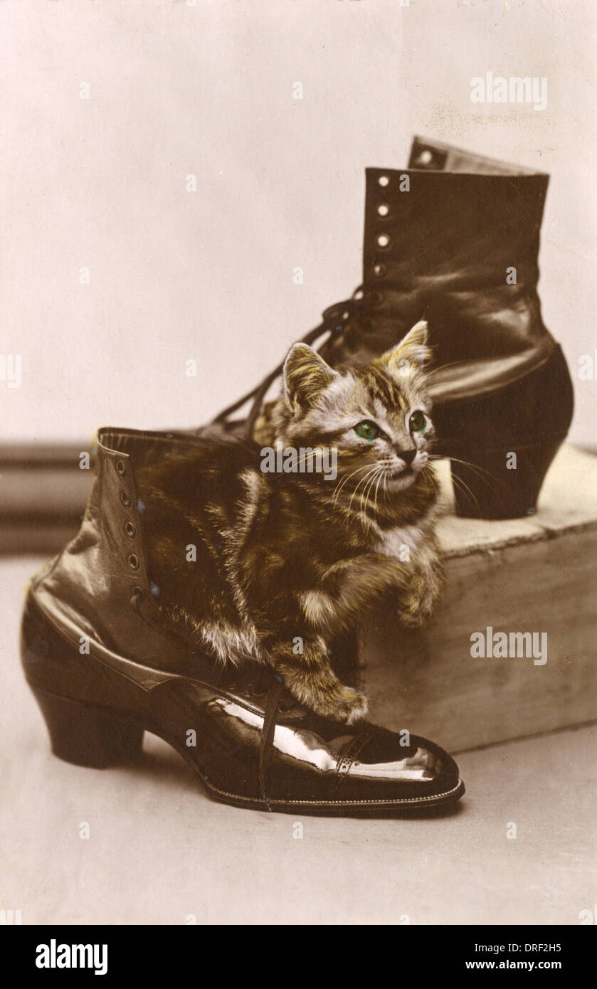 Kitten and some shiny black boots Stock Photo