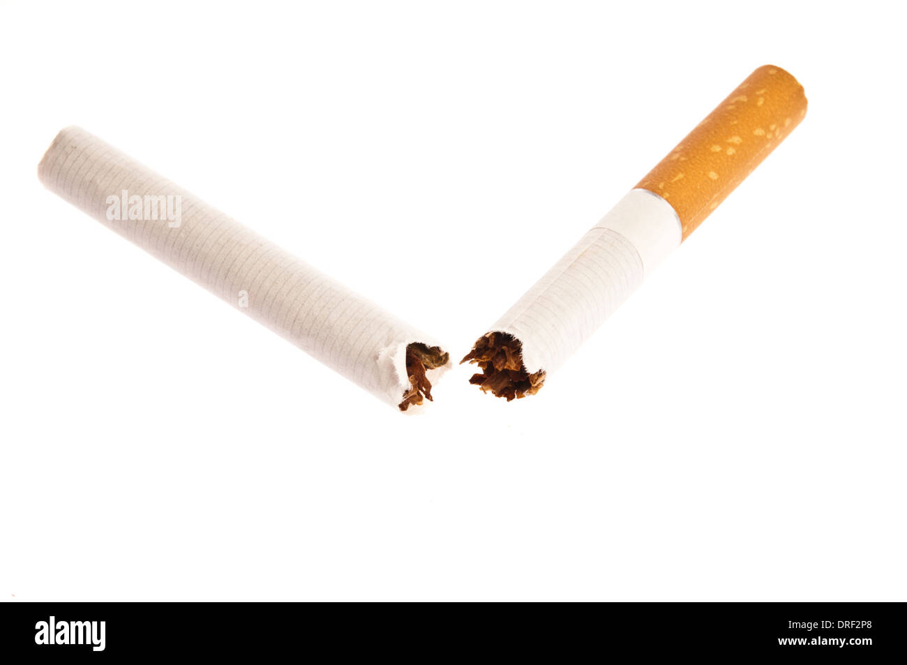 carhartt active jacket tobacco Carhartt WIP Active Jacket Tobacco Rigid