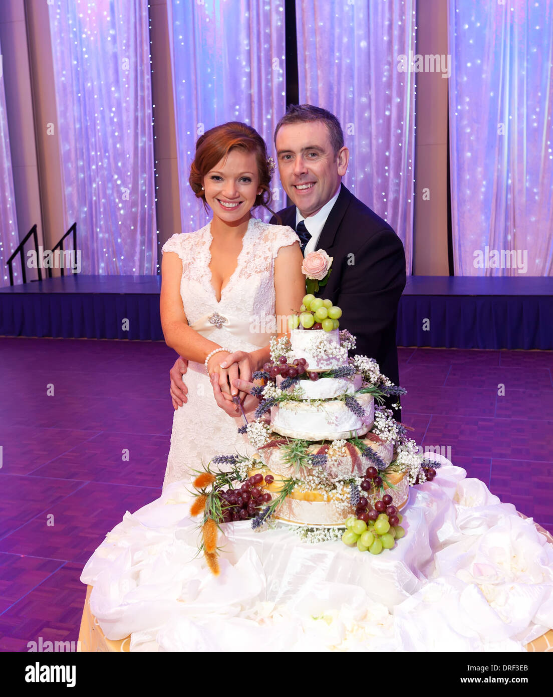 couple cutting the cake at the reception Stock Photo