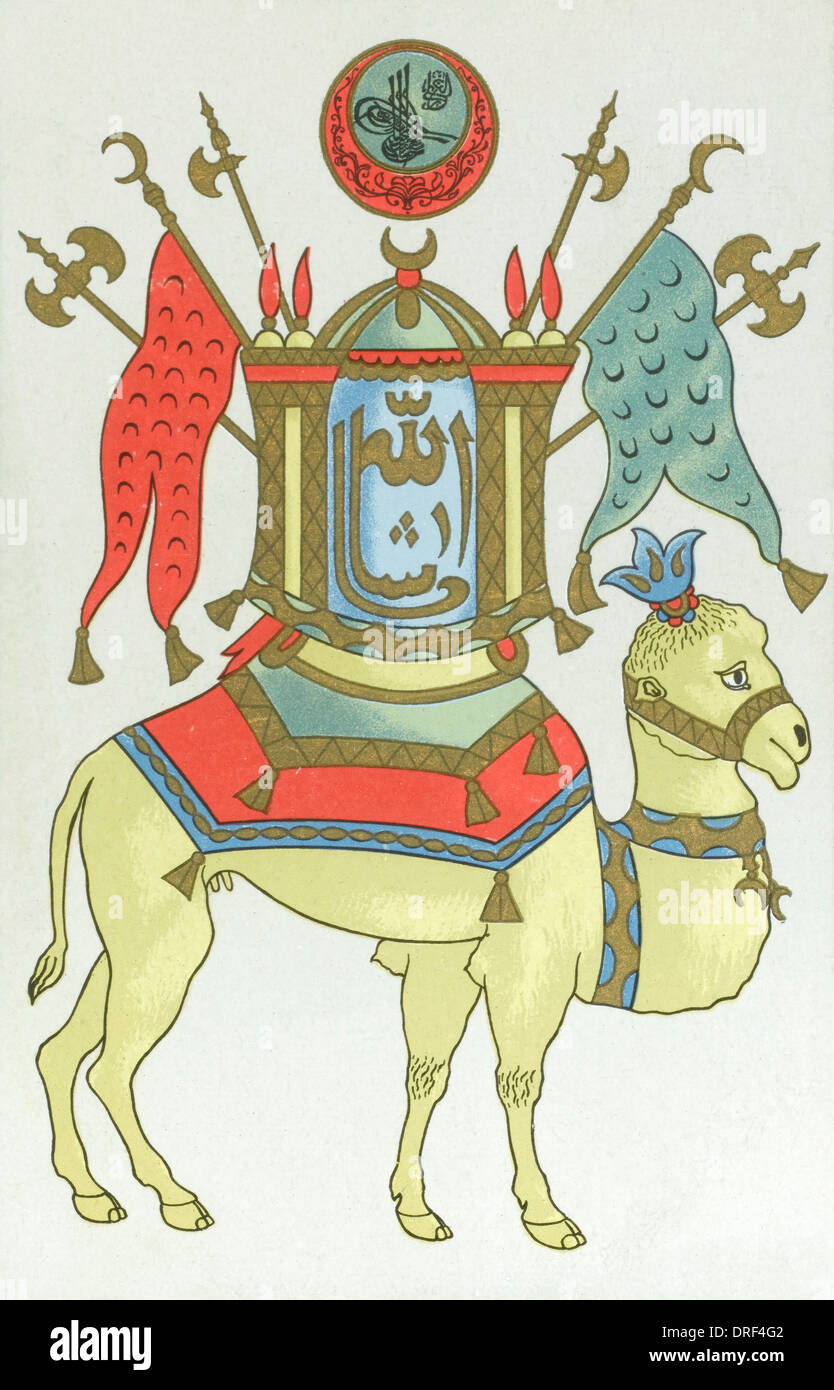 Decorated Camel - Syria Stock Photo