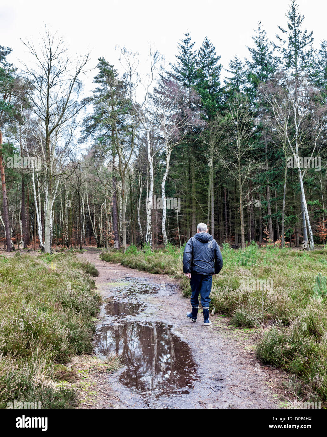 Lone male walker hi-res stock photography and images - Alamy