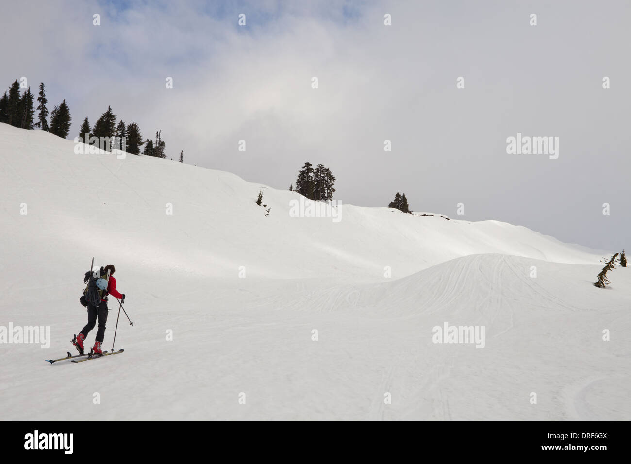 Mount Baker Washington state USA skier skins up snow slope towards mountain peak Stock Photo